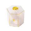Elegant Female Mini Air Sponge Full Coverage Face Makeup Appliance Bundle
